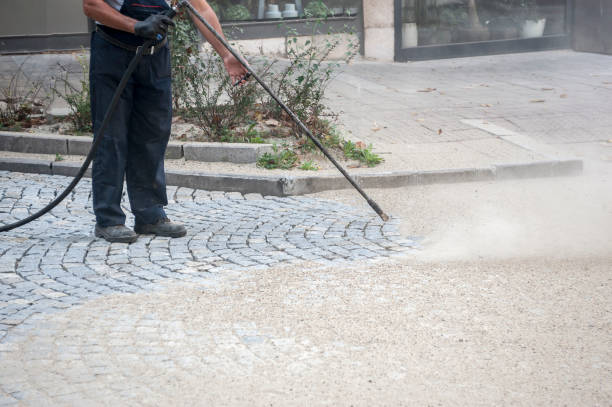 Animal Enclosure Cleaning in Daleville, VA
